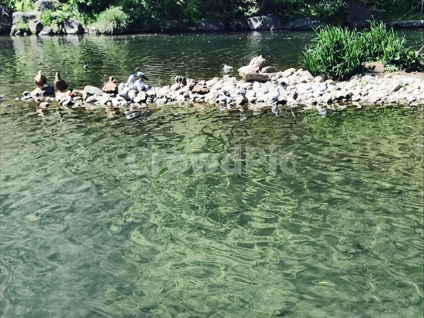 물,옥외,자연,water,nature,자연,풍경,nature,landscape,outdoors