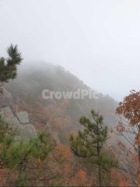 nature,weather,자연,날씨,안개,산,단풍