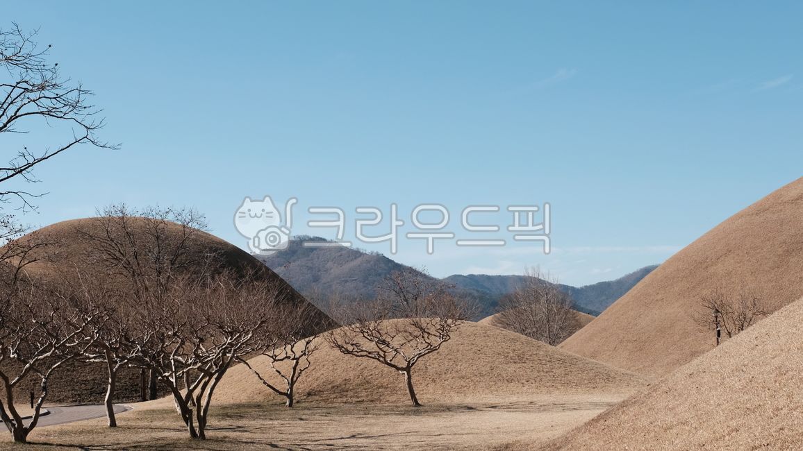 royaltomd,royal tomb,winter,soil,dry grass,fall,grass,Daereungwon,twig,oudoor,meadow,winter background,nature,twing,tomb,tree,winter tree,straw,Gyeongju,grassland,fall background,bough,hill,outdoors,field,garden,autumn,wintertree,landscape,lawn
