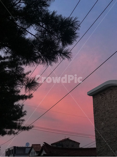 일몰,sunset,감성,노을,석양,하늘,빨간,붉은,해질녘,색감,핑크,소나무,분홍하늘