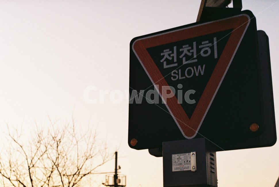 천천히,감성,표지판,노을,하늘,필름