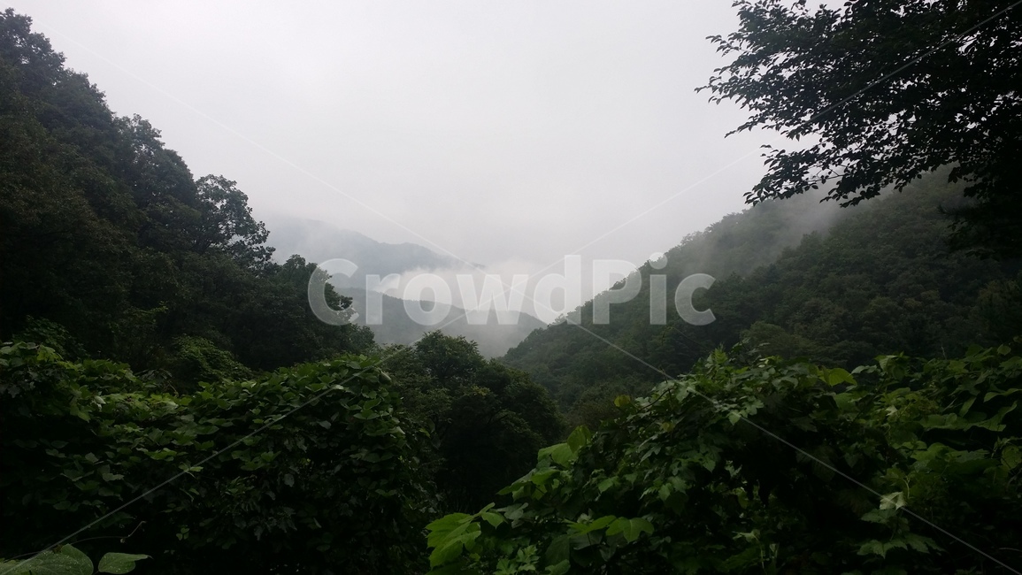 nature,자연,weather,날씨,산,mountain,안개