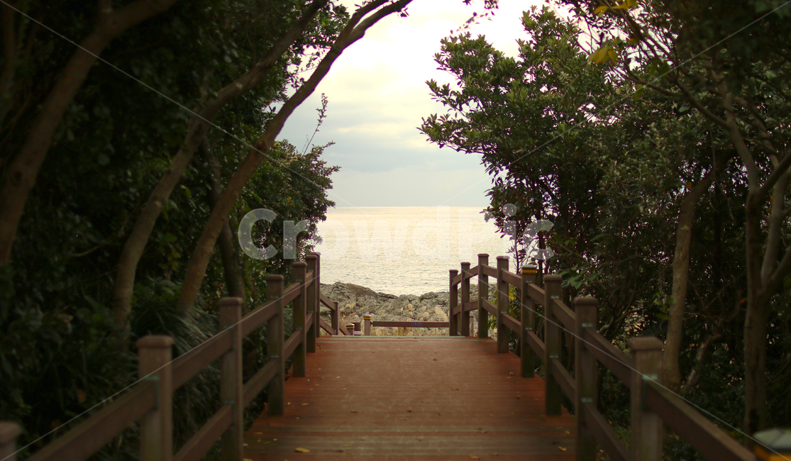 길,공원길,산책길,숲깊,숲,자연,풍경,nature,landscape,garden,정원,outdoors,옥외,arbour,정자