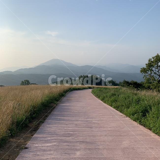 언덕,경주,바람의언덕,자연,풍경,광할함,끝없음,길,풀,나무