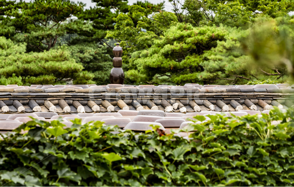 장독,장독대,항아리,옹기,독,서일농원,전통문화,한국의미,문화유산,간장독,된장독,담장,전통담,한국전통,한국문화,korean traditional,korean culture