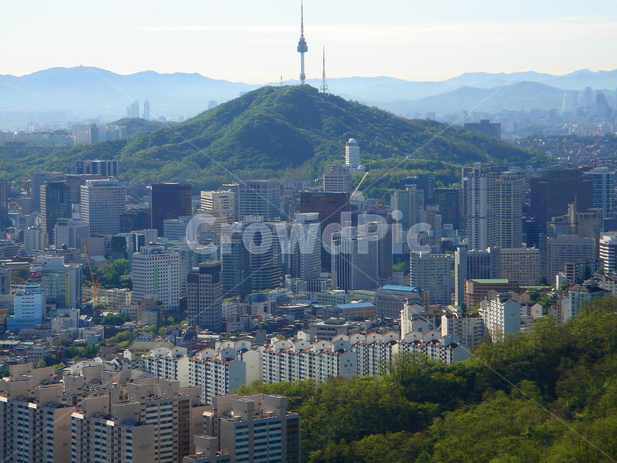 산,하늘,아파트,건물,도시,도심,공존,남산