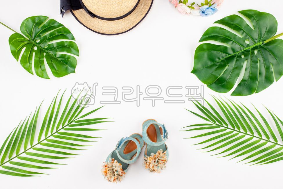 floraldesign,플로랄디자인,식물,copyspace,꽃배경,wedding,초대장,꽃다발,bouquet,배경,나뭇잎,background,웨딩,야자수,디자인,invitation,상세페이지,fashion,배너,포스터,안내장,art,미술,pattern,love,글자,감성배경,나무블럭,글자블럭,블럭,여자샌들,헤어밴드,sandal,hat,strawhat,palmleaves,밀짚모자,여름