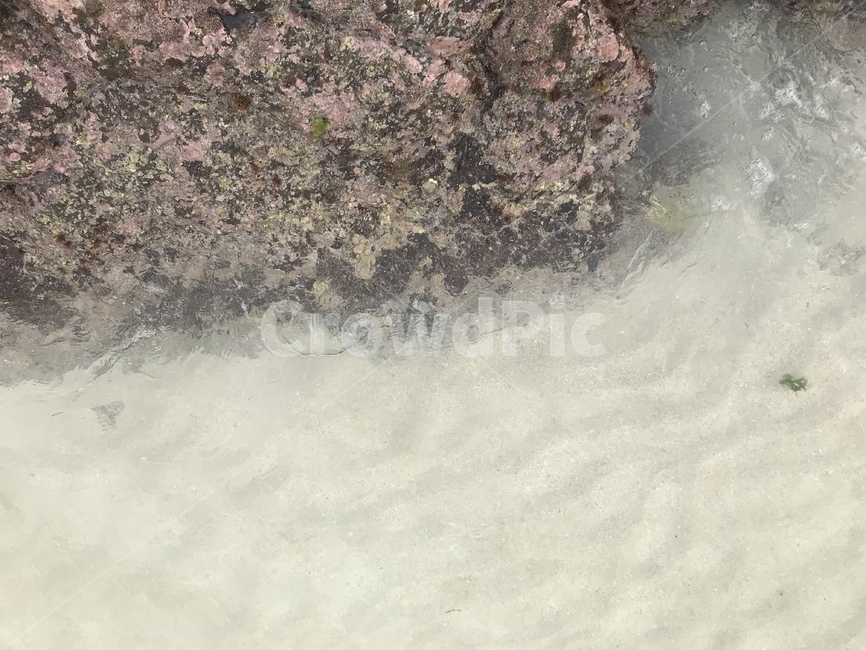 바다,물결,이끼,파도,바위,자연,풍경,nature,landscape,river,강,water,물,outdoors,옥외