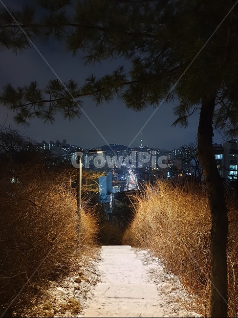 산책,서울밤,서울,산책로,공원,path,trail,night,밤하늘,야경,야경,밤,풍경,nightscape,night,landscape,도시,city,한국도시풍경,한국도시경관,korea cityscape
