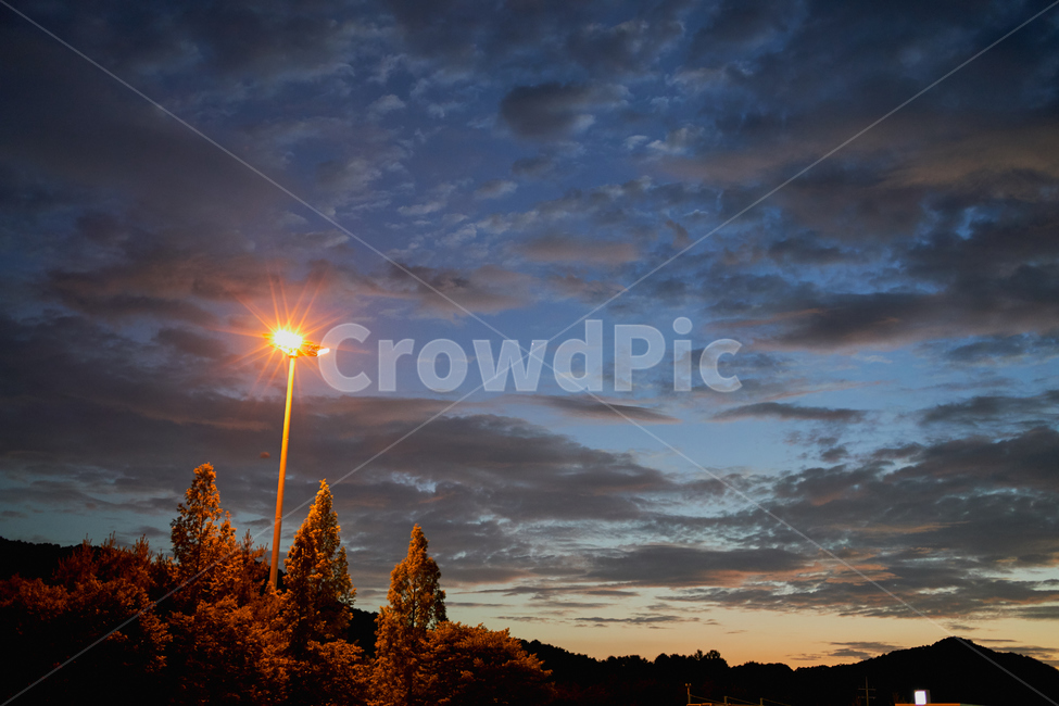 하늘,구름,여름밤,노을,풍경,night,sky,summer,빛,무드,자연,풍경,nature,landscape,야경,밤,nightscape,night,tree,나무,plant,식물,fir,전나무,light,flare,플레어