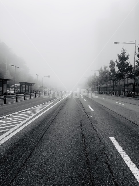 아스팔트,asphalt,road,도로,안개,흑백,모노톤,monochrome,black and white