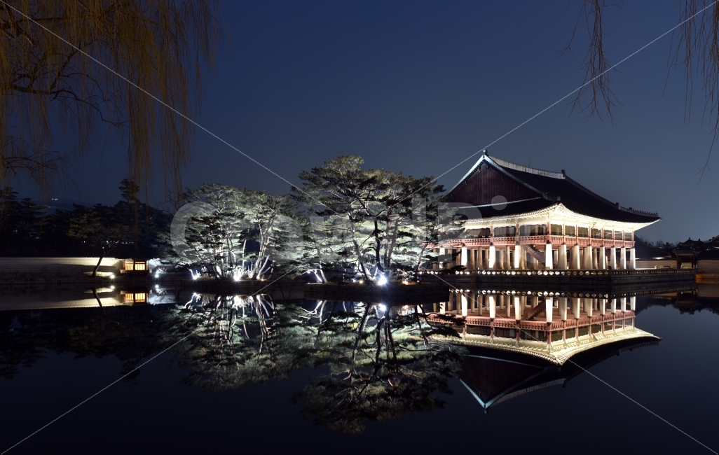 서울,경복궁,야간개장,야경,반영,경회루,나무,조명,Nikon,D750,야경,밤,풍경,nightscape,night,landscape,랜드마크,landmark,tourist attraction,한국전통,한국문화,korean traditional,korean culture,architecture,건축물,building,건물