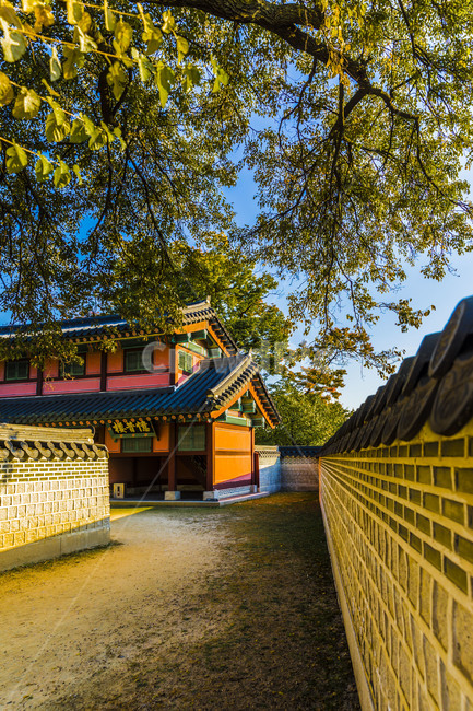 Cultural Heritage,Changgyeonggung Palace,line,tile,pattern,tile fence,coloring,old palace,Korean meaning,wall