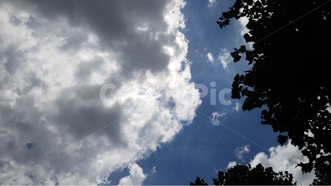 하늘,구름,sky,cloud,풍경,자연,자연,풍경,nature,landscape,weather,날씨,outdoors,옥외,cumulus,적운