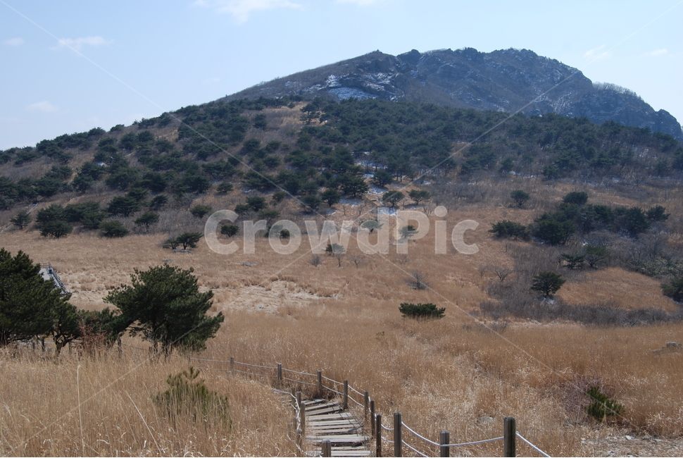 산,휴양지,겨울,나무,winter,겨울,계절,winter,season,자연,풍경,nature,landscape,한국자연풍경,한국자연경관,korea nature landscape,ground,바닥,outdoors,옥외