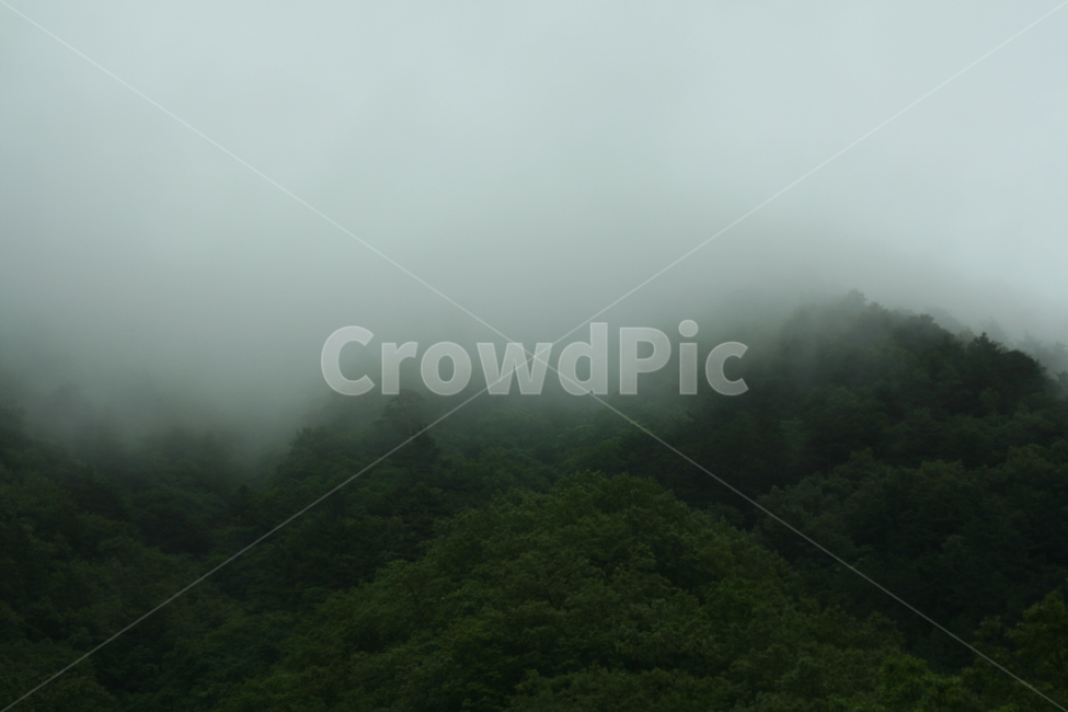 안개,산,시골,장마,야산,자연,풍경,nature,landscape,weather,날씨,outdoors,옥외