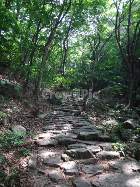 등산,돌길,등산로,숲속,나무,자연,자연,풍경,nature,landscape,flagstone,판석,path,통로,slate,슬레이트,walkway,보도