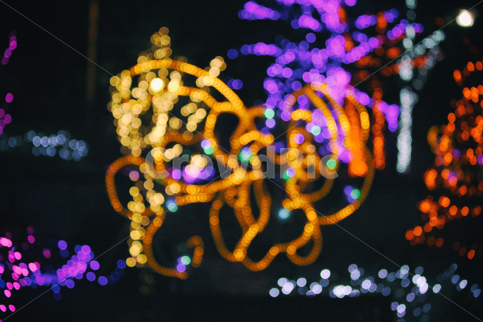 빛,빛축제,축제,야경,빛망울,풍경,도시,도심,light,festival,lightfestival,night,nightphotogrpahy,밤,저녁,city,urban,보케,landscape,야경,밤,풍경,nightscape,night,landscape,축제,행사,festival,carnival,event,lighting,조명