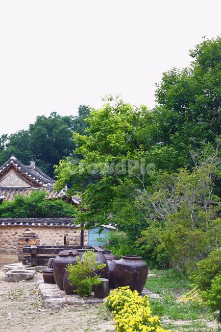 한옥,고택,정원,꽃,나무