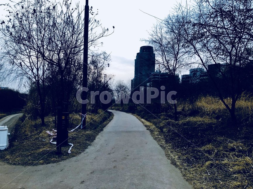 여의도,한강공원,저녁,해질녘,공원,park,susnet,자연,풍경,nature,landscape,asphalt,아스팔트,path,통로