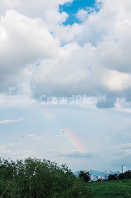 하늘,무지개,구름,풍경,레인보우,하늘공원,자연,풍경,nature,landscape,outdoors,옥외,sky
