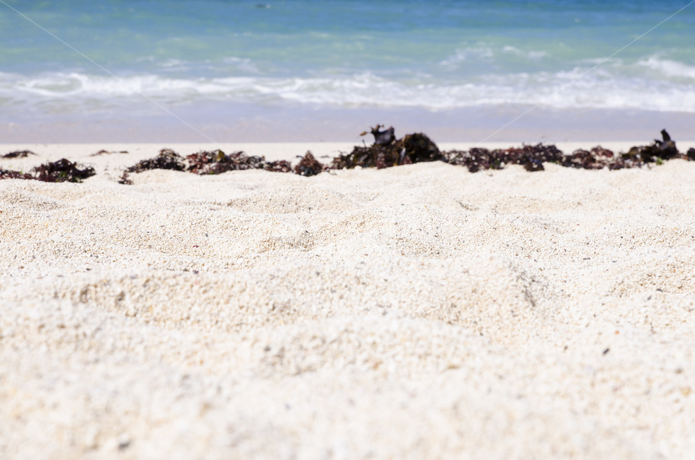 제주,제주도,비치,모래,손바닥,해변,바다,여름,우도,섬,해변,바다,beach,sea