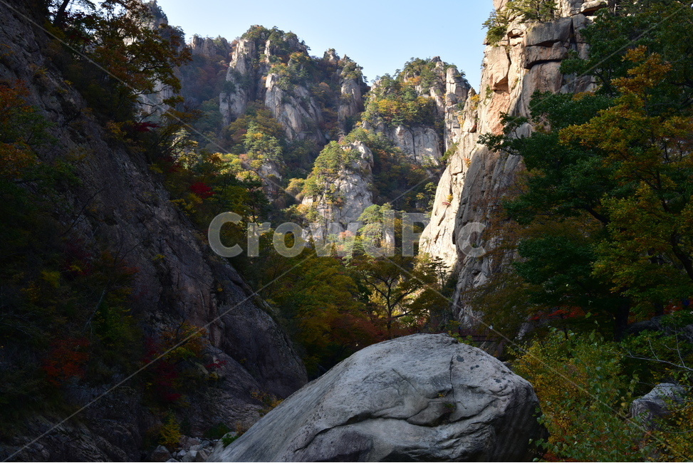 nature,자연,가을풍경,단풍,계곡,가을,가을,계절,fall,autumn,season,자연,풍경,nature,landscape,outdoors,옥외,cliff,낭떠러지