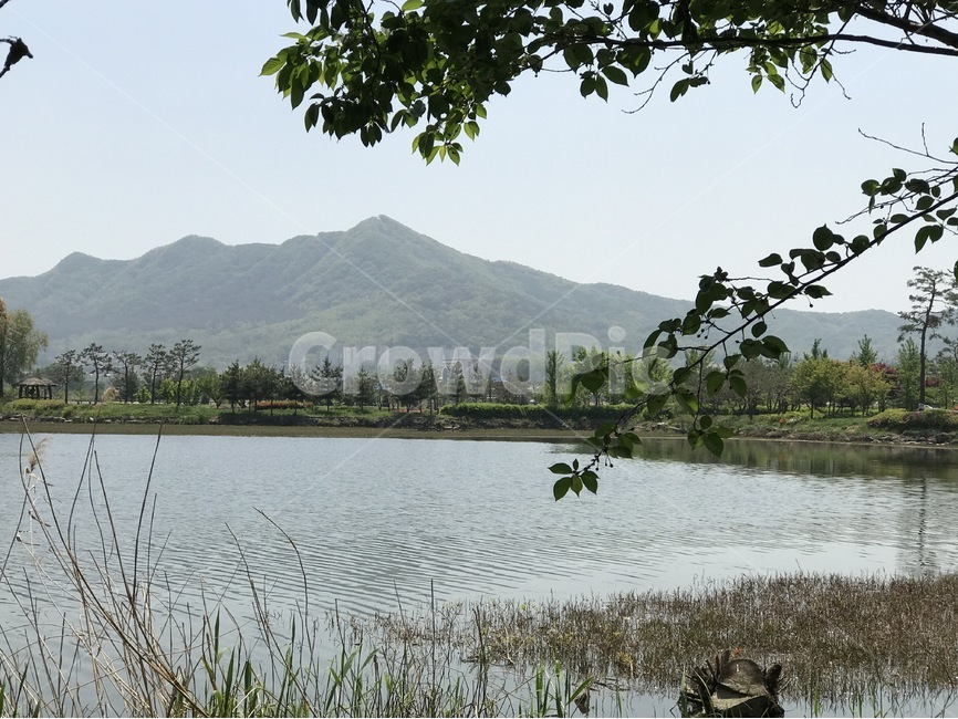 저수지,호수,풍경,자연,송악저수지,자연,풍경,nature,landscape,water,물,outdoors,옥외