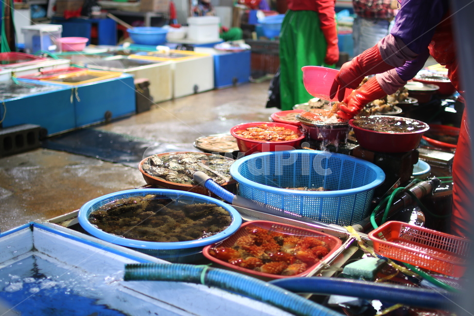 seafood,marine products,raw fish town,raw fish center,fish market,market,fishing boats,ships,assorted raw fish,raw fish,fish,Fish,vessels,raw fish restaurant