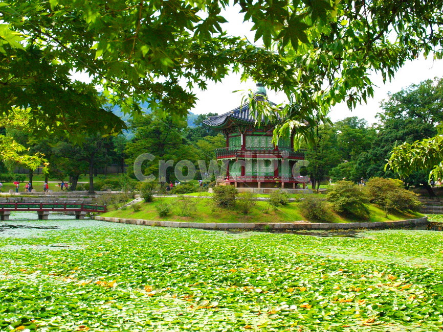 대한민국,한국,경복궁,향원정,취향교,연못,한국전통,한국문화,korean traditional,korean culture,랜드마크,landmark,tourist attraction,한국랜드마크,한국관광지,한국명소,korea landmark,korea tourist attraction