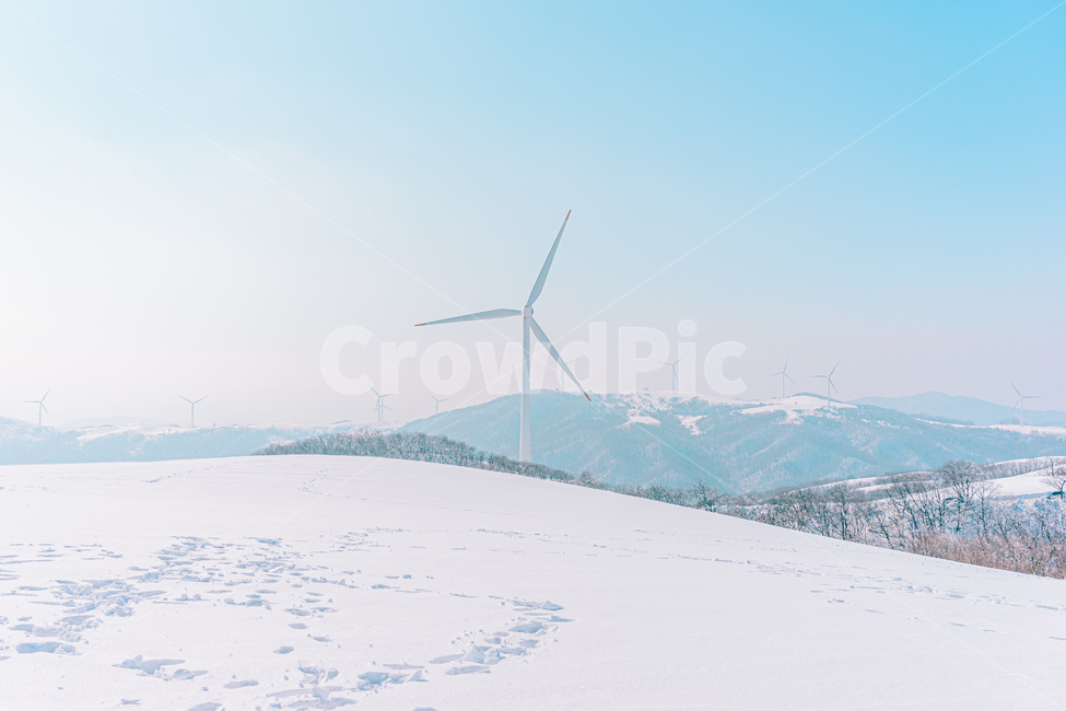 풍력발전기,풍력발전,눈밭,목장,겨울목장,눈,대관령,겨울,겨울,계절,winter,season,자연,풍경,nature,landscape,에너지산업,energy industry