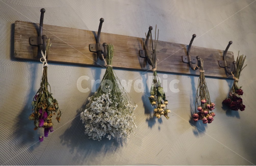 드라이,플라워,말린꽃,꽃,장식,식물,자연,plants,nature,꽃,flower,실내용화초,화분,화초,house plant,인테리어,실내디자인,interior design