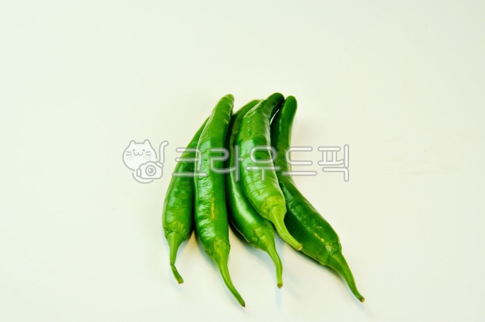 고추,풋고추,농작물,먹거리,식용,음식,농산물,채소,food