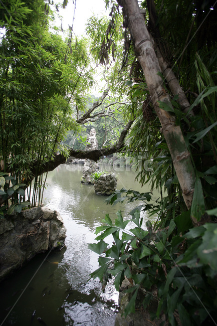 garden,중국식정원,정원,가든,식물,호수,마카오,macao