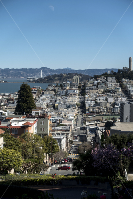 샌프란시스코,미국,도시,전경,하늘,맑음,도시,풍경,city,landscape,해외,외국,세계,foreign,oversea,world,세계도시풍경,해외도시풍경,외국도시풍경,world cityscape,outdoors,옥외,nature,자연,경치,scenery
