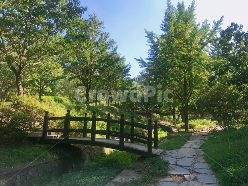 나무,다리,하늘,시냇물,돌,자연,풍경,가을,공원,park,plant,tree,자연,풍경,nature,landscape,flagstone,판석,outdoors,옥외