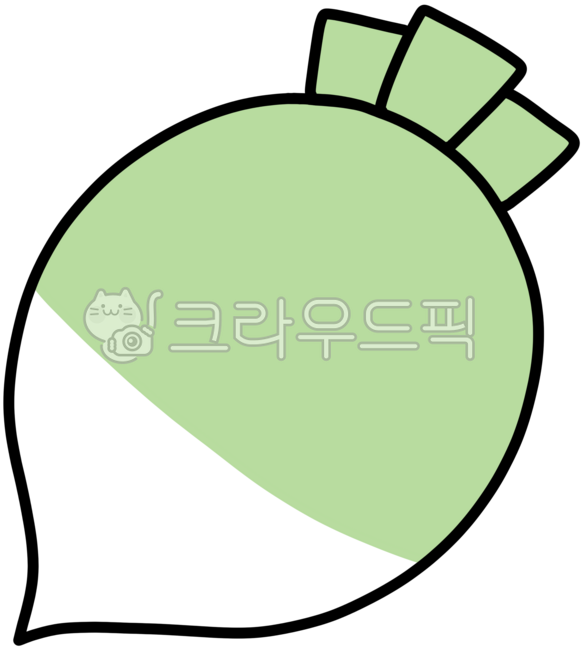 김치재료무,가을무,통무,식재료무,요리재료무,무손그림,김장속무,무우,무생채,채소무,김장무우,무일러,무,무일러스트,김장무,석박지무,김장철,겨울무,무농사,무김치,큰무,김치