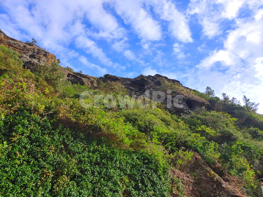 제주도,제주,성산,성산일출봉,일출봉,풍경,경치,자연