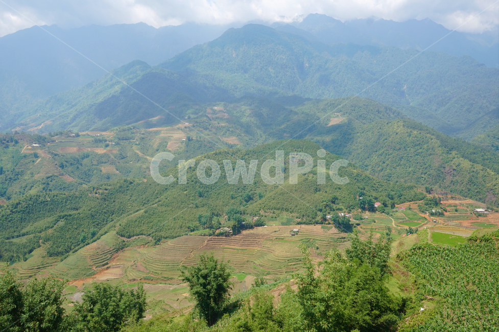 자연,풍경,베트남,nature,scenery,outdoor,야외,산,mountain,vietnam,outdoors,countryside,hill,언덕,사파,자연,풍경,nature,landscape