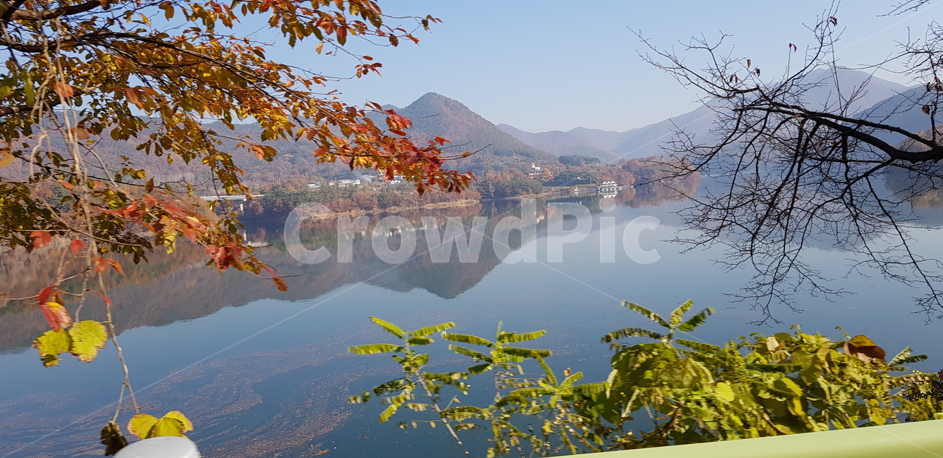 가을,호수,낙엽,청풍호,낭만,가을,계절,fall,autumn,season,자연,풍경,nature,landscape,water,물,tree,나무,plant,식물,outdoors,옥외