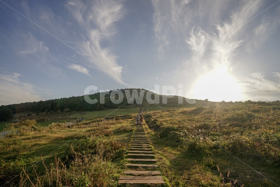 제주도,제주,오름,백약이오름,소,들판,하늘,일몰,자연,풍경,nature,landscape,outdoors,옥외