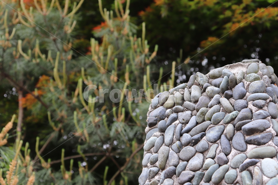 나무,돌,돌기둥,나뭇잎,공원,tree,stone,stonepillar,leaf,park
