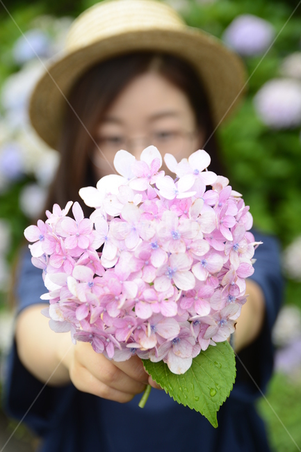 수국,부케,핑크,여름,꽃,꽃다발,여름,계절,summer,season,꽃,flower,사람,인물,인간,human,person,여성,여자,woman,female,lady,plant,식물,hat,모자,blossom