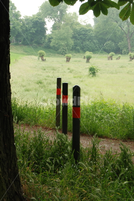 들판,들,목초지,시골,속도제한,기둥,자연,풍경,nature,landscape,animal,동물,cow,소,cattle,가축,mammal,포유류
