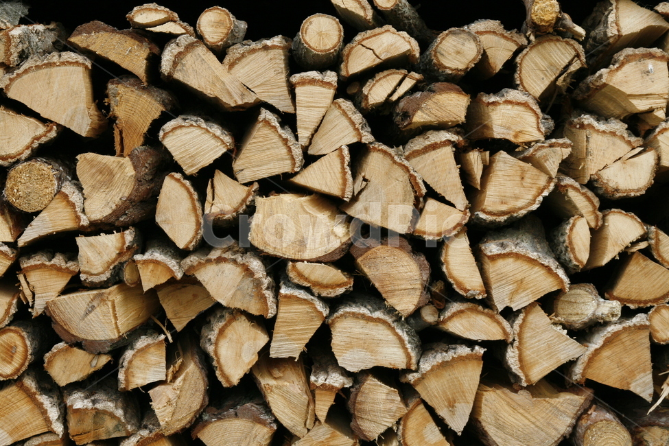 나무,땔감,장작,난방,연료,나무,trees,wood