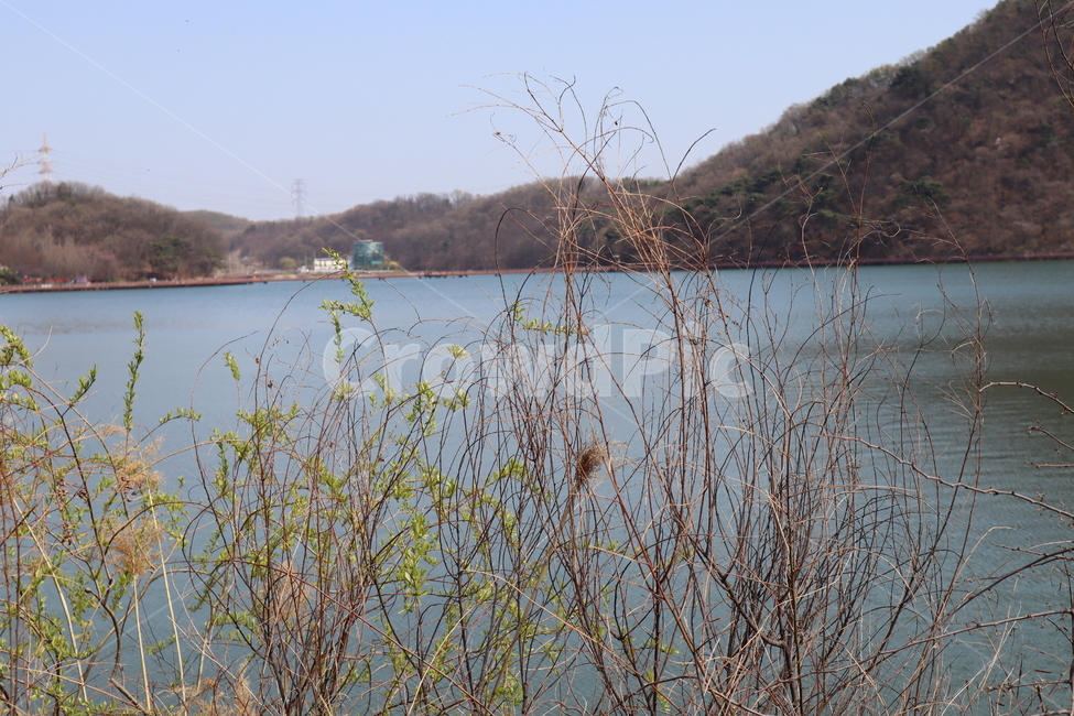 호수,갈대,호수풍경,lake,저수지,가을,계절,fall,autumn,season,nature,자연,water,물,outdoors,옥외