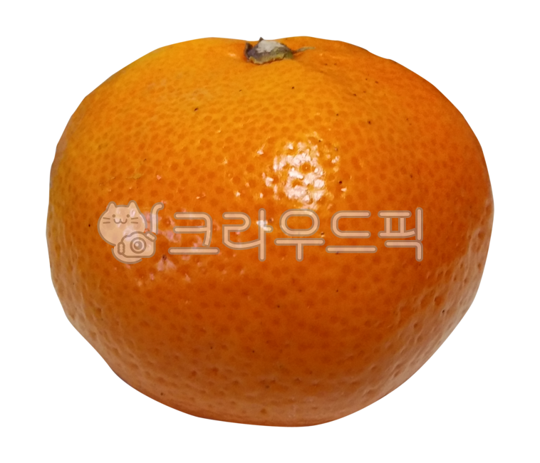 감귤류과일,fruit,과일,귤,감귤,orange,주황색,citrusfruit,음식,food