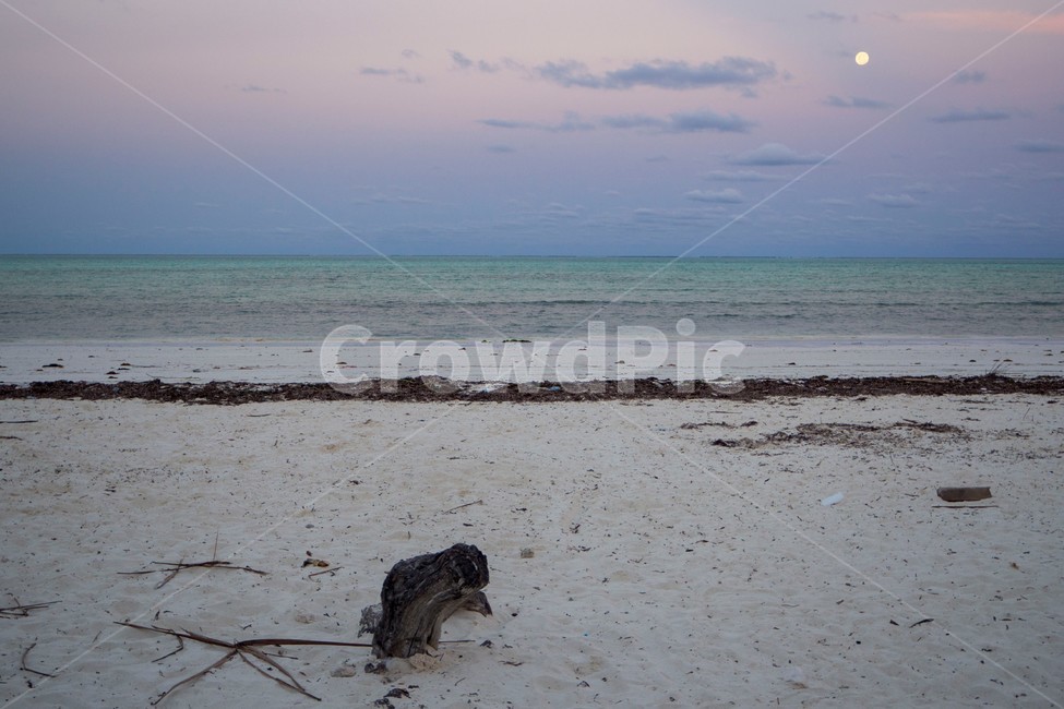 탄자니아,tanzania,zanzibar,잔지바르,jambiani,잠비아니,바다,저녁바다,ocean,sea,하늘,sky,달,moon,노을,해질녘,자연,풍경,nature,landscape,해변,바다,beach,sea,해외,외국,세계,foreign,oversea,world,세계자연풍경,해외자연풍경,외국자연풍경,world nature landscape,색깔,색상,색채,색감,color sense,color sensitivity,feeling of color
