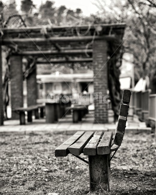 벤치,흑뱍,세피아,감성,추억,자연,풍경,nature,landscape,흑백,모노톤,monochrome,black and white,bench