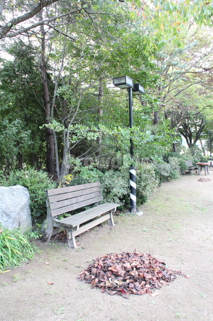 bench,벤치,furniture,가구,야외등,정원,초록,나무,돌,의자,풍경,자연,공원,쉼,나들이,여행
